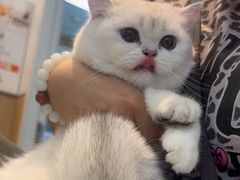 -瑞派·关忠动物医院·猫专科·犬专科(三环新城店)