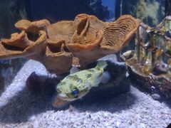 -常州海昌海洋探索馆