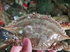 -蓝珊甄选海鲜自助·火锅大排档(近阿那亚店)