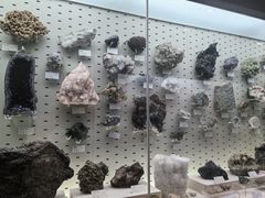 -浙江自然博物院(杭州馆)