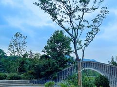 -龙坞茶村