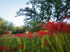 -白塘生态植物园