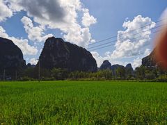 -明仕田园