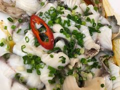 葱油淋大罗非鱼-鸽王世家(东华东路店)