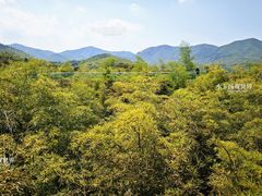 -陶祖圣境风景区