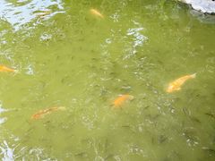 -珠海圆明新园