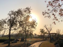 -春花秋色城市公园