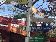 -亚龙湾热带天堂森林公园