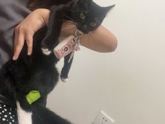 -美联众合24小时·皮肤科·外科·全科诊疗中心(华苑分院)