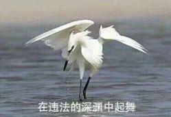 -IMPACT影响力发型连锁