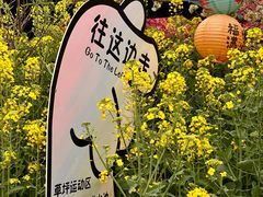 -桃源山庄·水蜜桃采摘·柴火鸡·烧烤团建(龙泉山店)