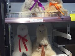 -外高桥超市