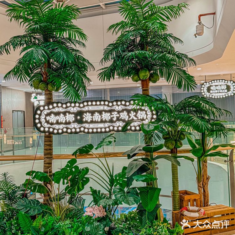 纯个人私藏的椰子鸡火锅！不想和你说，但真的藏不住了！