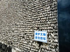 -小洲村