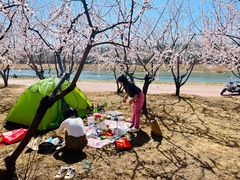 -东郊湿地公园