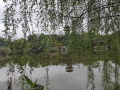 -张坝桂圆林公园