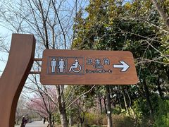 -自然谷恐龙园