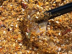 -鹤之乡·齐齐哈尔烤肉·非遗(秋涛路店)