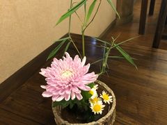 -香园自助小火锅
