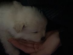 -太原茂业天地购物中心