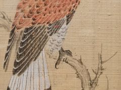 -南京书画院金陵美术馆