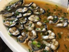 -呼吸森林·生态农庄农家乐私房菜