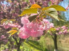 -幕燕滨江·长江观音景区