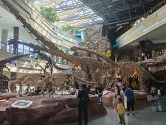 -安徽省地质博物馆