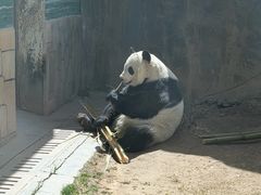 -青藏高原野生动物园