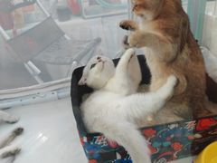 -鹏欣水游城