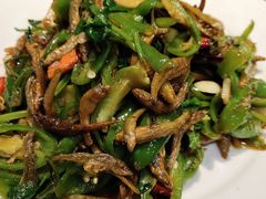 -杨氏青龙虾·羊蝎子(金盛路总店)