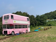 -金石滩蓝莓谷庄园