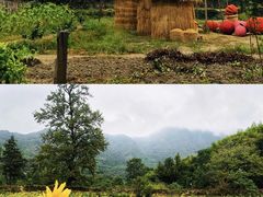 -塔川景区
