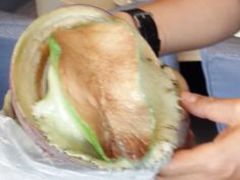 -金唐海鲜酒家