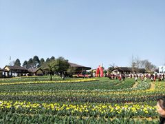 -保利石象湖景区