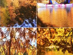 -上海海湾国家森林公园