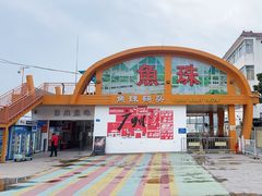 -鱼珠码头(轮渡站)