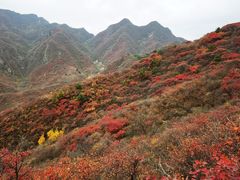 -水峪民俗村