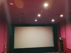 -华谊兄弟影院(IMAX洋桥店)