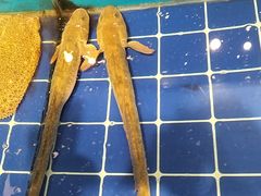 -渔家大院·地道威海菜(石岛店)