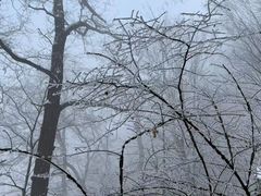 -终南山南五台景区