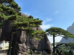 -黄山风景区