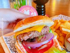 -Boxing Cat Brewery拳击猫精酿啤酒馆(永福店)