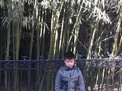 -北京拉斐特城堡酒店