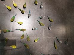 点击看大图 -酷嗒动物文化乐园(cutezoo西溪乐天城店)