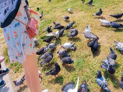 -阿芙乐尔号巡洋舰