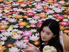-西双版纳勐泐文化旅游区