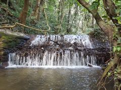 -莫里热带雨林景区