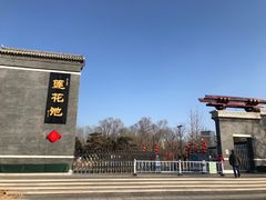 -莲花池公园