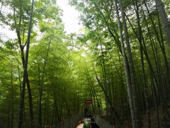 -藏龙百瀑漂流